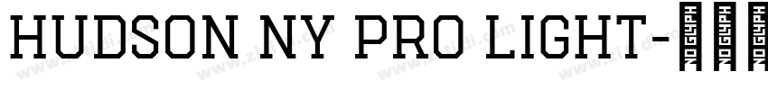 Hudson NY Pro Light字体转换